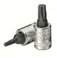1/4 Torx doppen