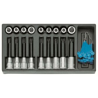 Module 1/2 torxdoppen