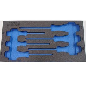 Checktool schroevendraaiers torx leeg