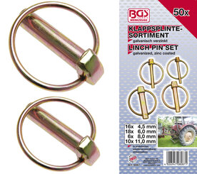 BGS borgpennen 50-delig